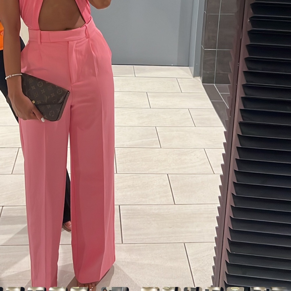 Zara Pink pants